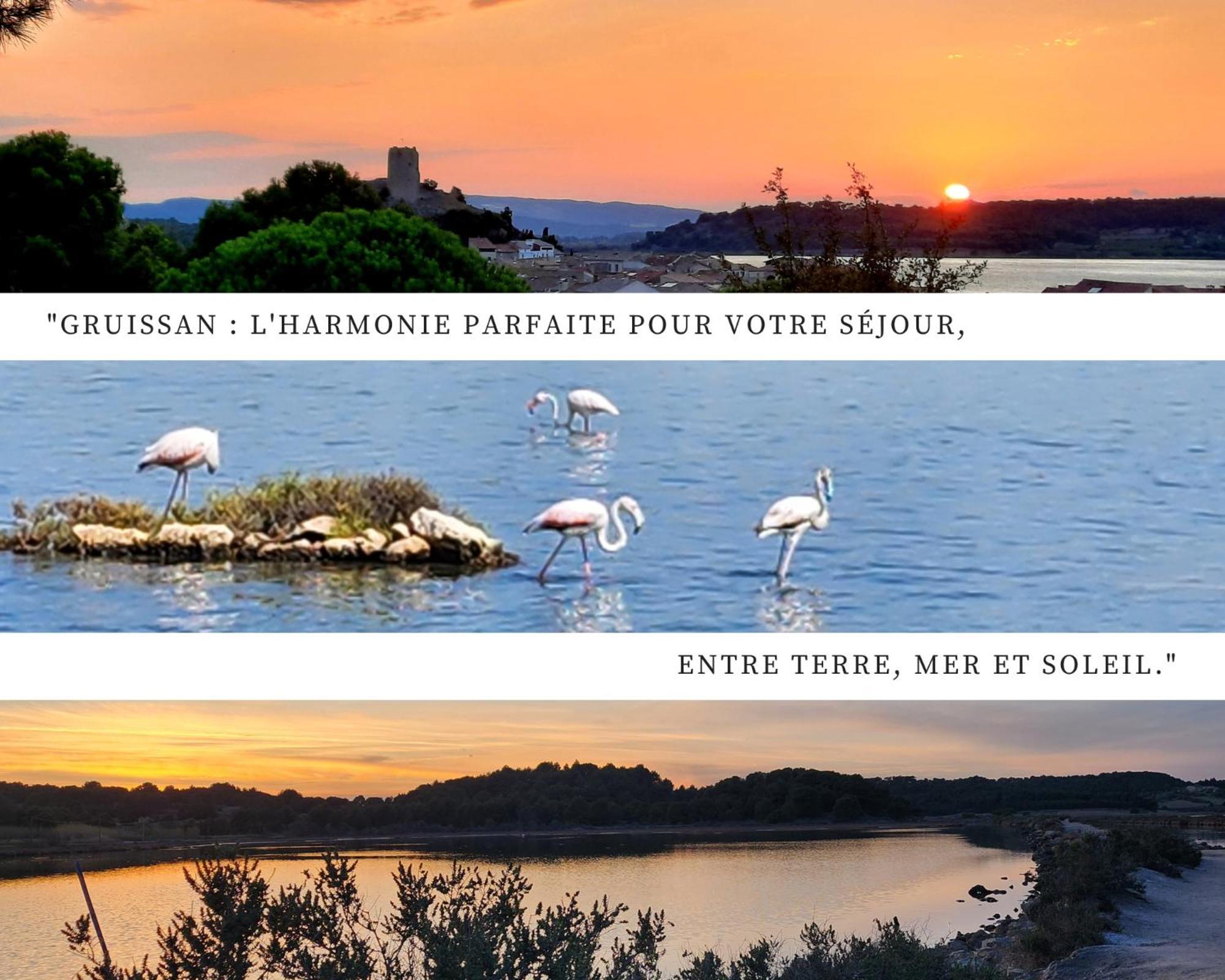L'Eden - Vue Magnifique Sur Le Port, Les Chalets & La Mer - Gruissan Ngoại thất bức ảnh